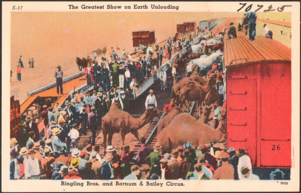 Lerakodás a Ringling Bros. and Barnum & Bailey Circus vonatszerelvényéről. Forrás: Boston Public Library