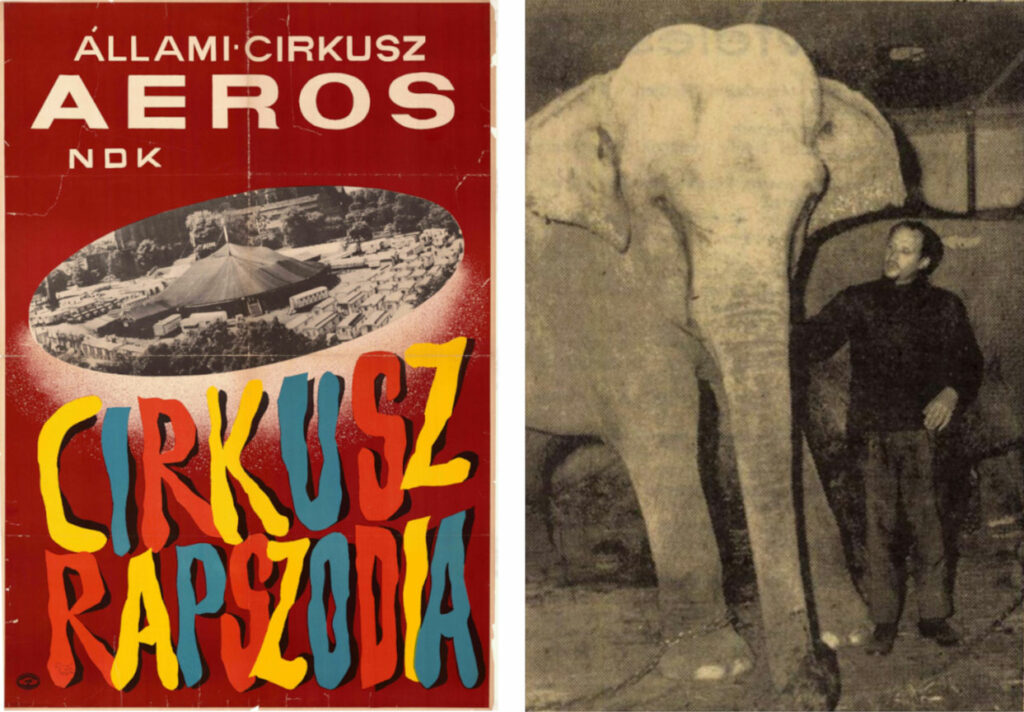 Az Aeros Cirkusz műsorfüzete, 1968. Forrás: Magyar Cirkuszművészeti Múzeum, Könyvtár és Archívum. Mellette Gerhard Quaiser elefántidomár a Fejér Megyei Hírlap 1968. április 14-én megjelent cikkében.
