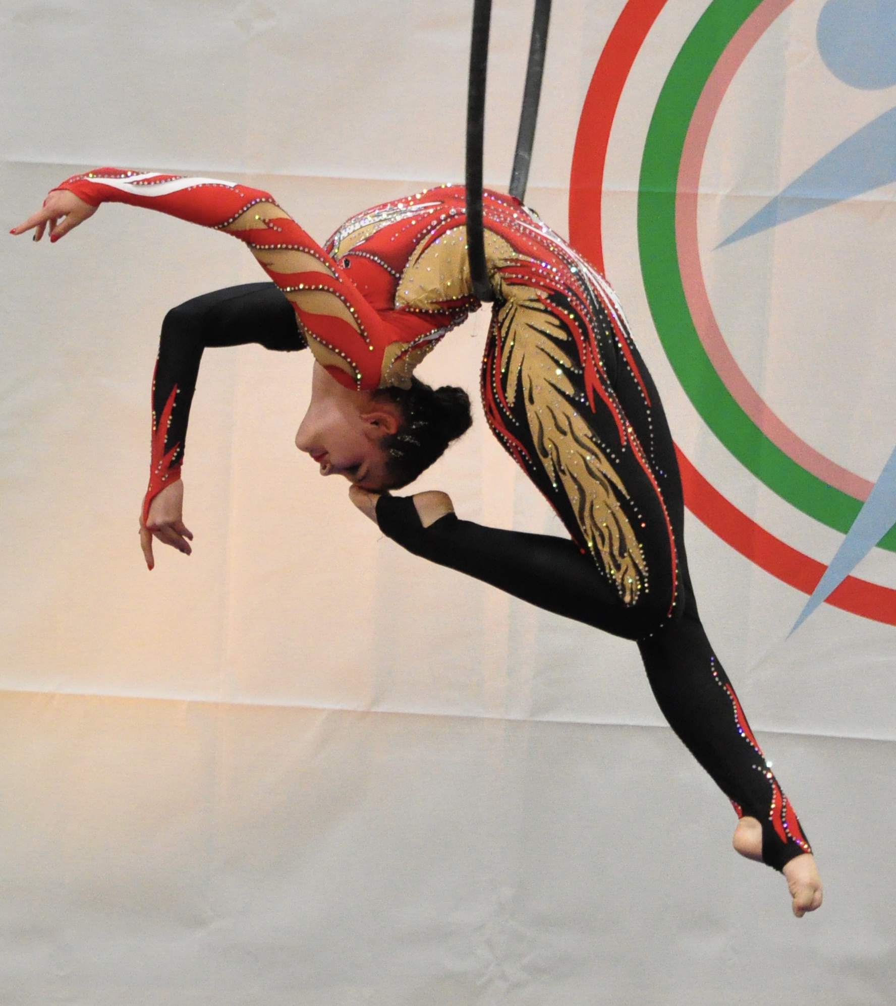 A légtorna a szenvedélyem- Dörnyei Hanga Dorka légtornász a Fővárosi Nagycirkusz porondján